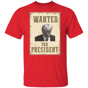 Wanted For President