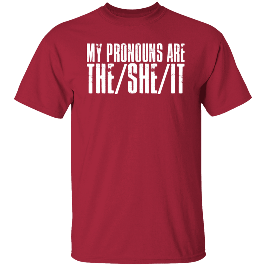 Pronouns Are