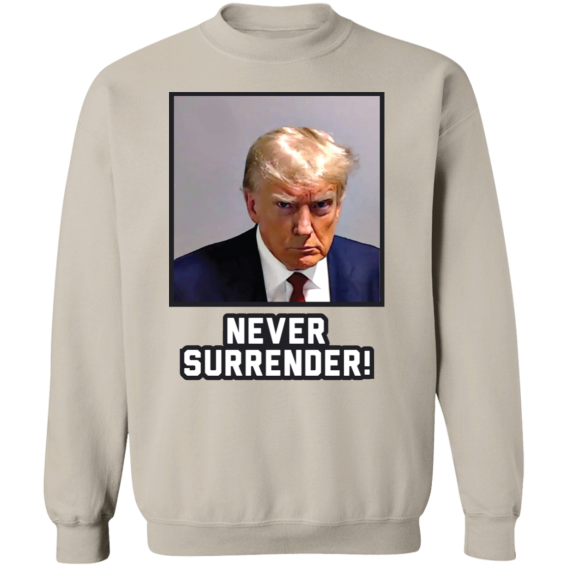 Never Surrender Sweatshirt