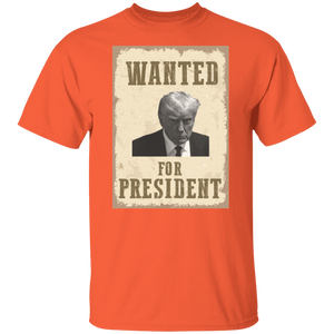 Wanted For President