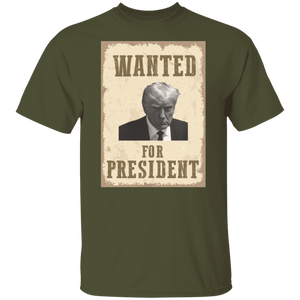 Wanted For President