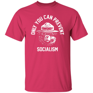 MAGA Smokey Bear Vinyl Sticker Pack – 'Only You Can Prevent Socialism' Trump 2020 (4 Pack)
